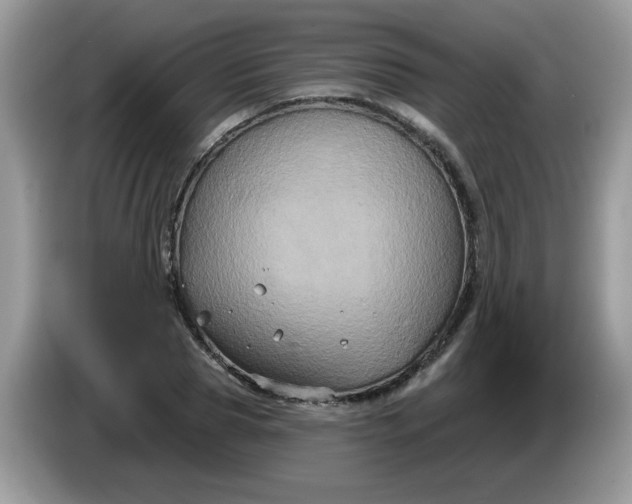 X0000086220929200704121854