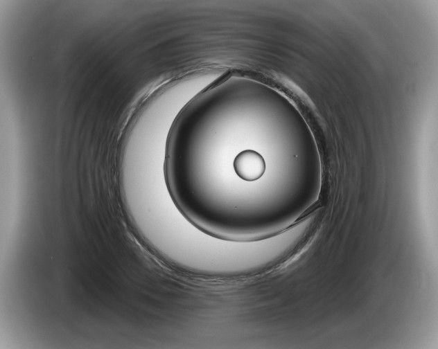 X0000086220930200704121854