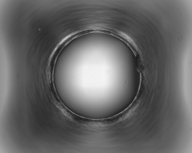 X0000086220931200704121854