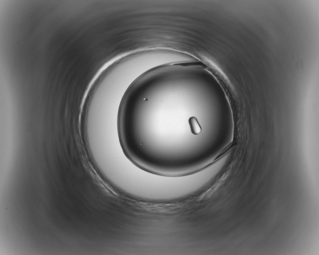 X0000086220932200704121854