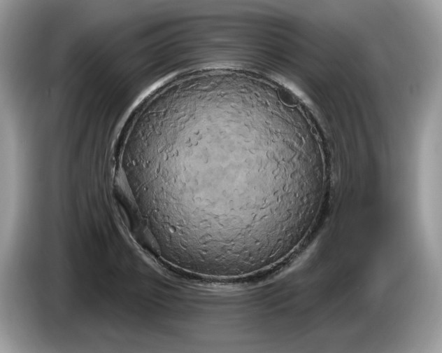 X0000086220933200704121854