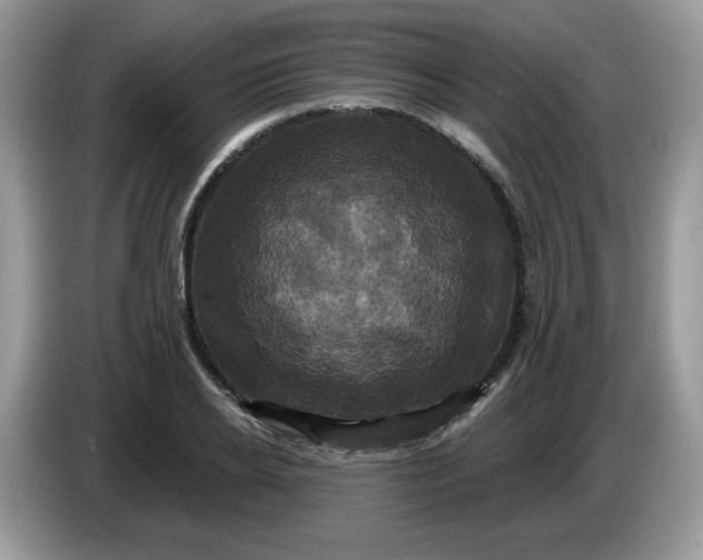 X0000086220934200704121854