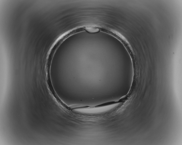 X0000086220935200704121854