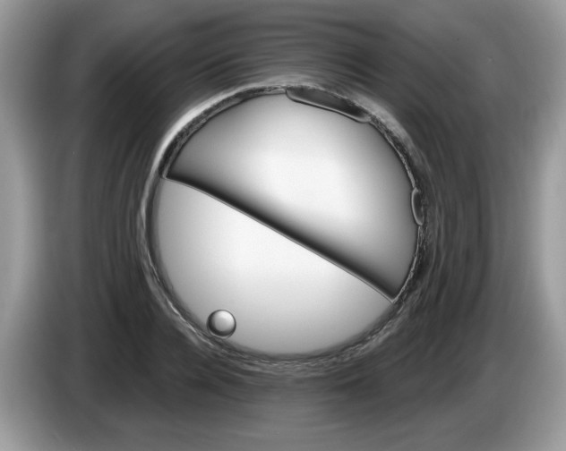 X0000086220936200704121854