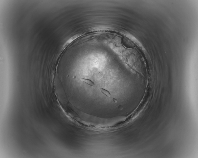 X0000086220937200704121854