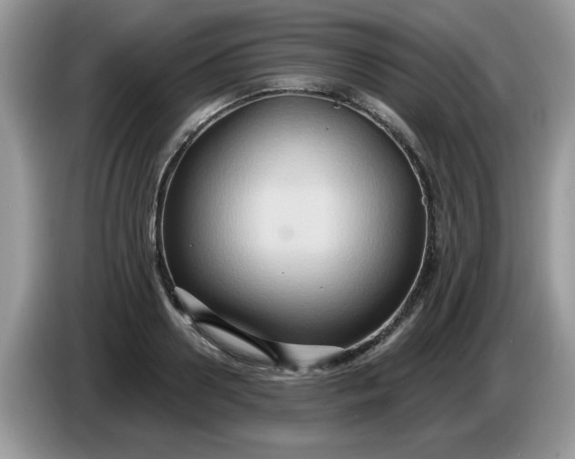 X0000086220938200704121854