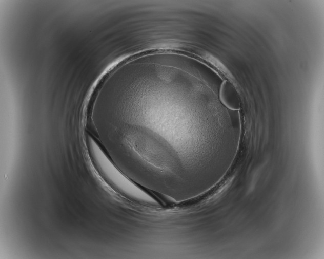 X0000086220939200704121854