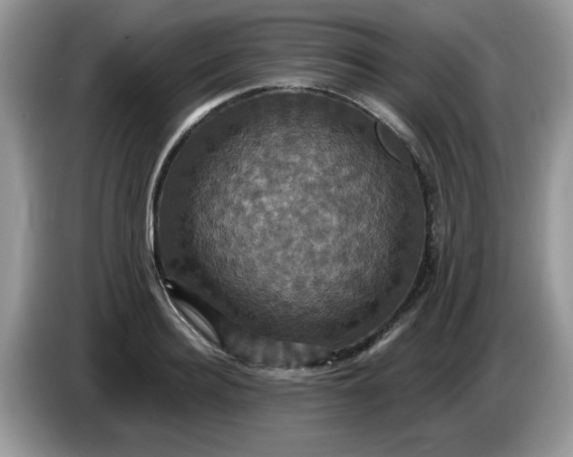 X0000086220940200704121854