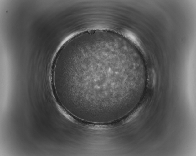 X0000086220942200704121854