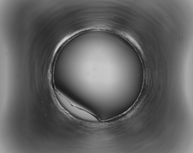 X0000086220944200704121854