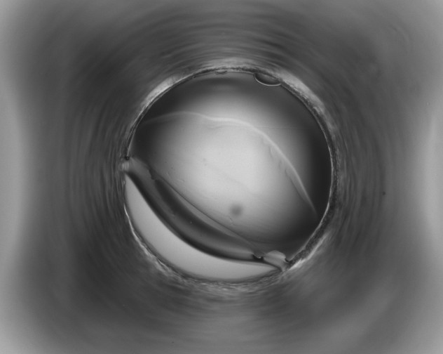 X0000086220945200704121854