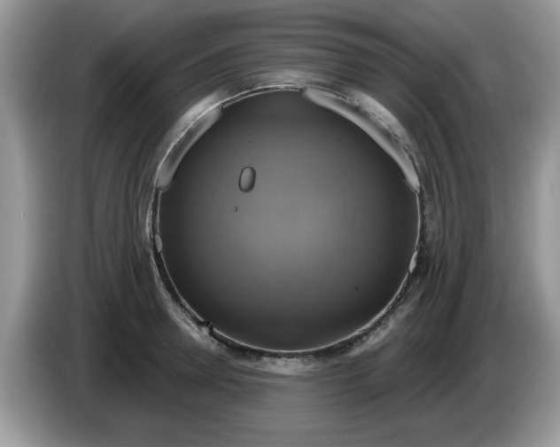 X0000086220946200704121854