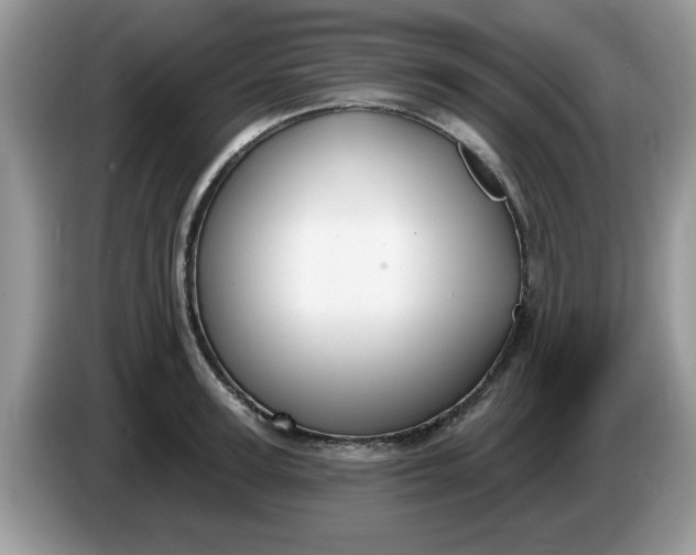 X0000086220947200704121854