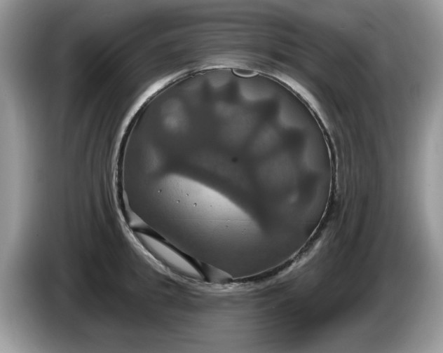 X0000086220949200704121854