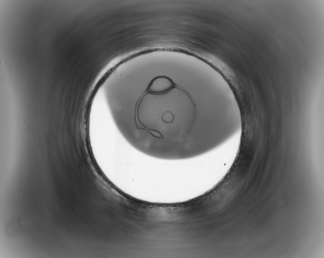 X0000086220950200704121854