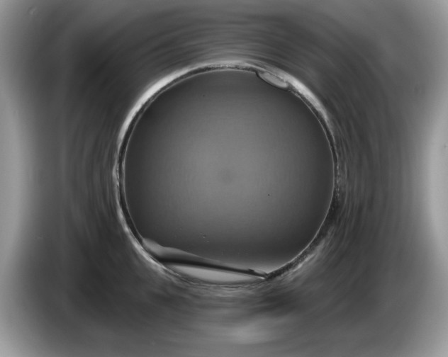 X0000086220951200704121854