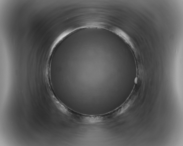 X0000086220952200704121854