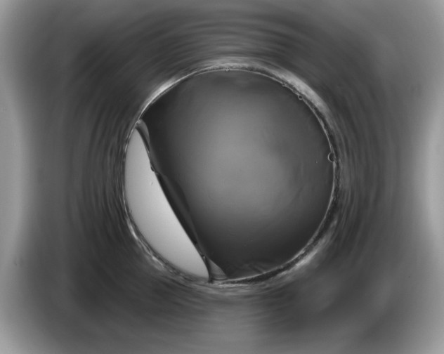 X0000086220953200704121854