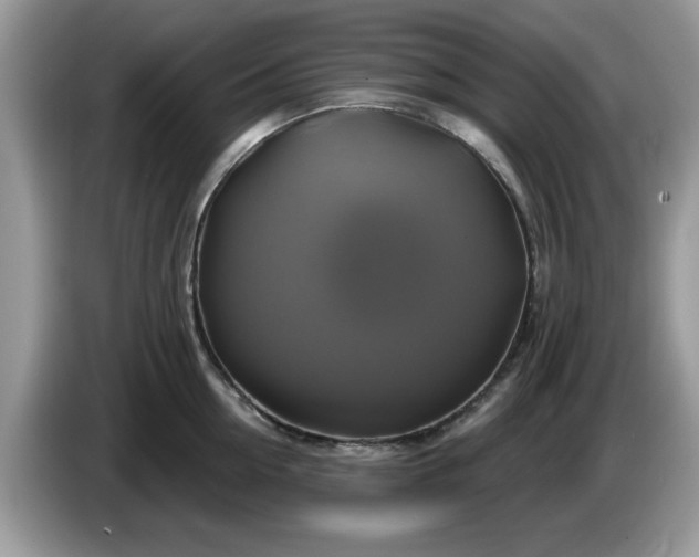 X0000086220954200704121854