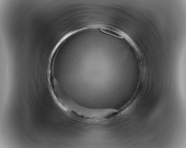 X0000086220955200704121855