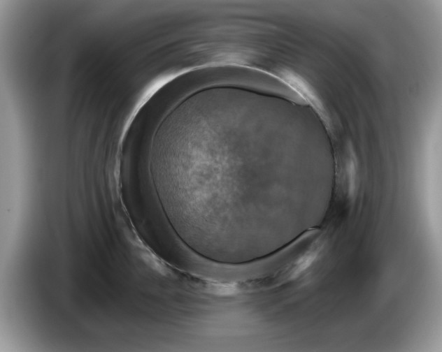 X0000086220956200704121855