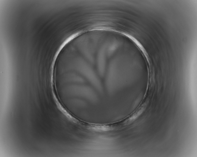 X0000086220957200704121855