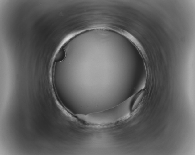 X0000086220958200704121855