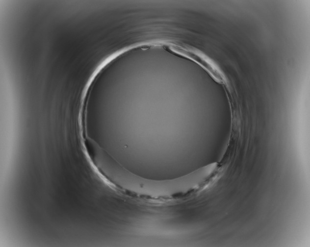 X0000086220959200704121855