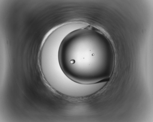 X0000086220960200704121855