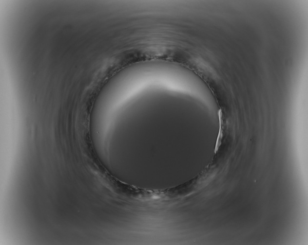 X0000086220961200704121854