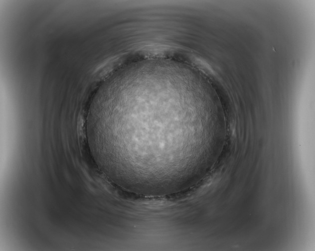 X0000086220964200704121854