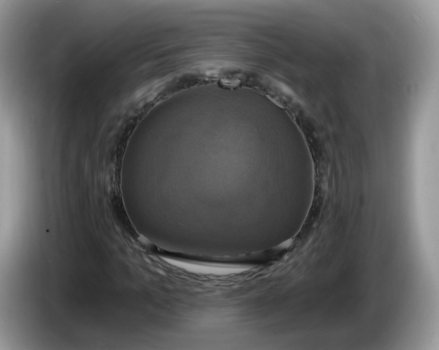 X0000086220965200704121854