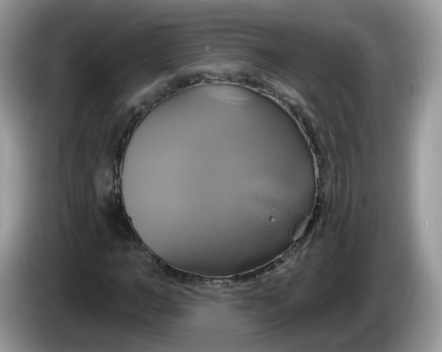 X0000086220966200704121854