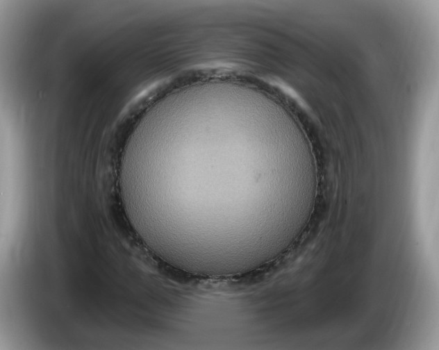 X0000086220967200704121854