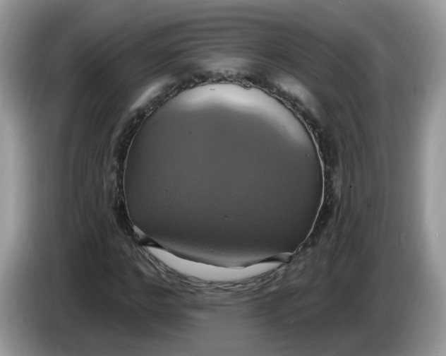 X0000086220968200704121854