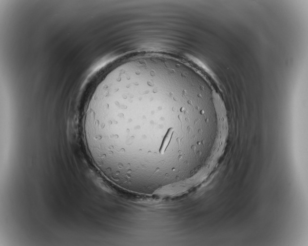 X0000086220971200704121854