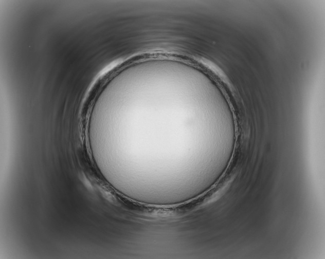 X0000086220974200704121854