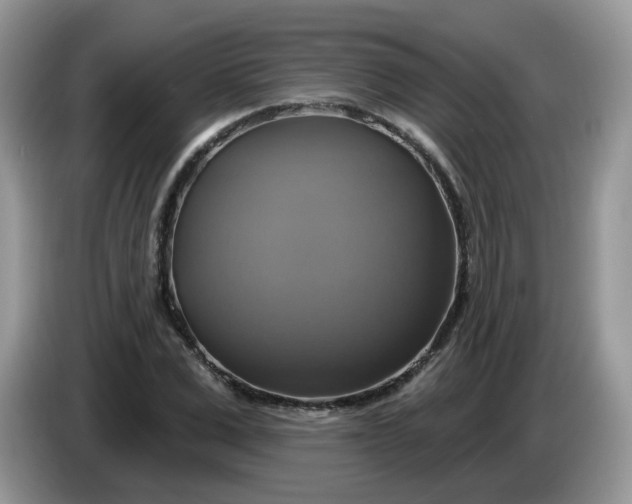 X0000086220975200704121854