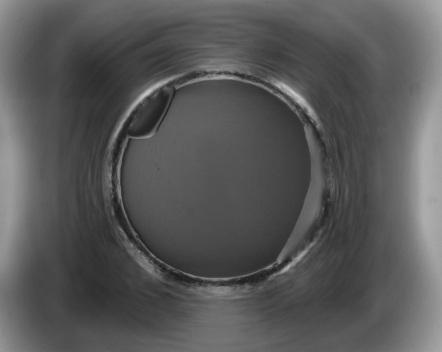 X0000086220976200704121854