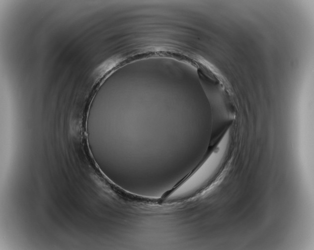 X0000086220977200704121854