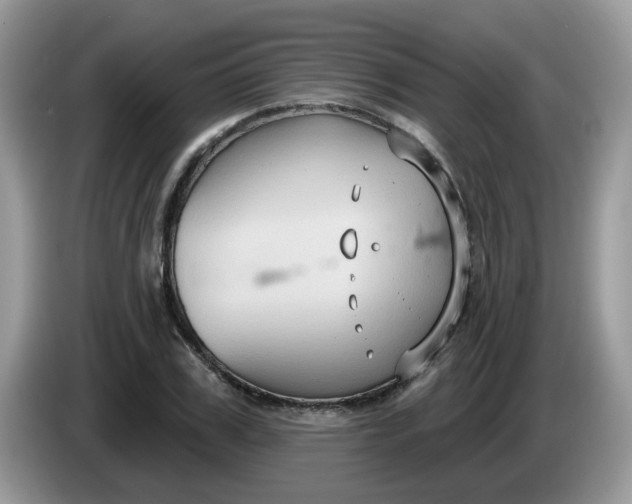 X0000086220979200704121854