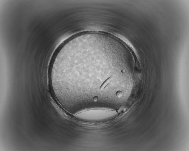 X0000086220980200704121854