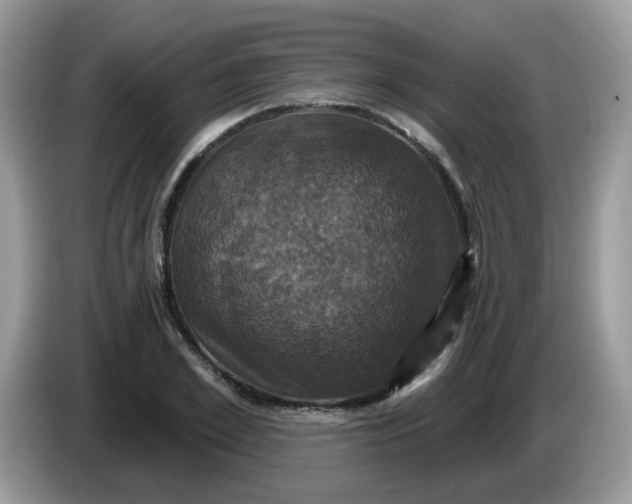 X0000086220981200704121854