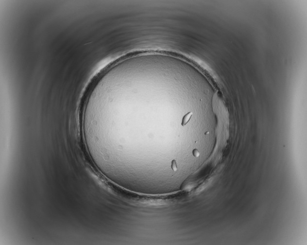 X0000086220982200704121854