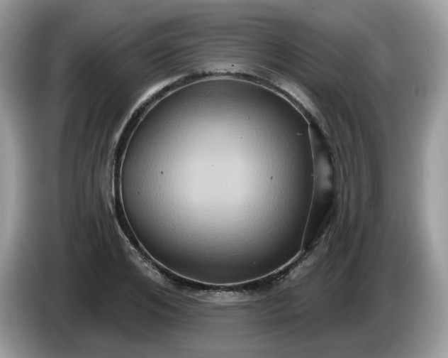 X0000086220984200704121854