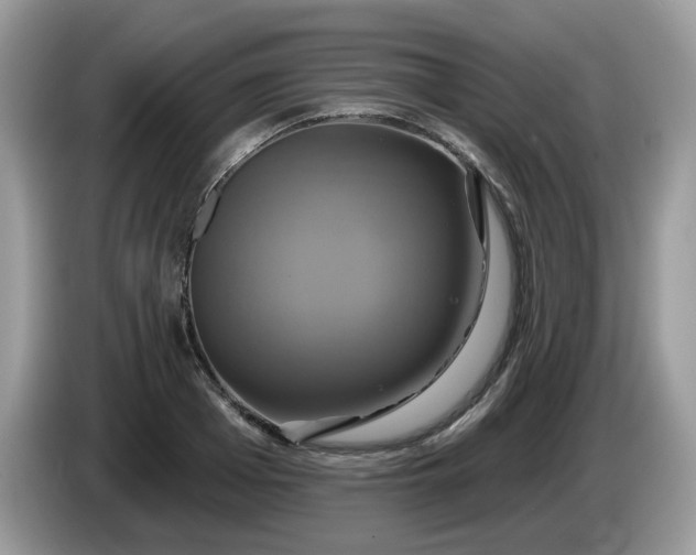 X0000086220985200704121854