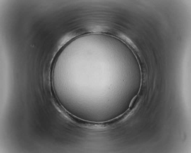 X0000086220986200704121854