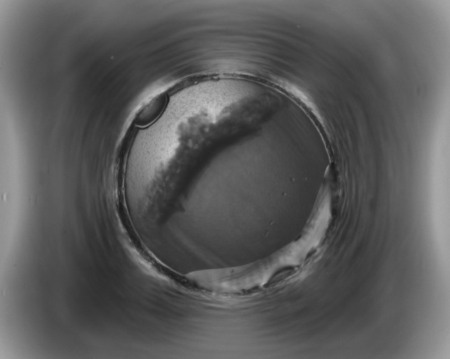 X0000086220987200704121854