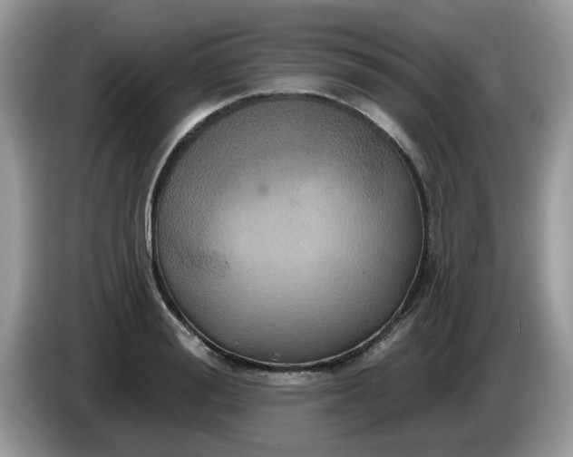 X0000086220988200704121854