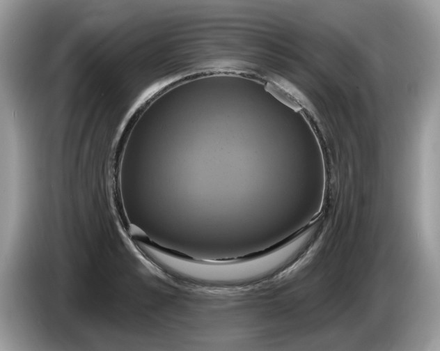 X0000086220989200704121854